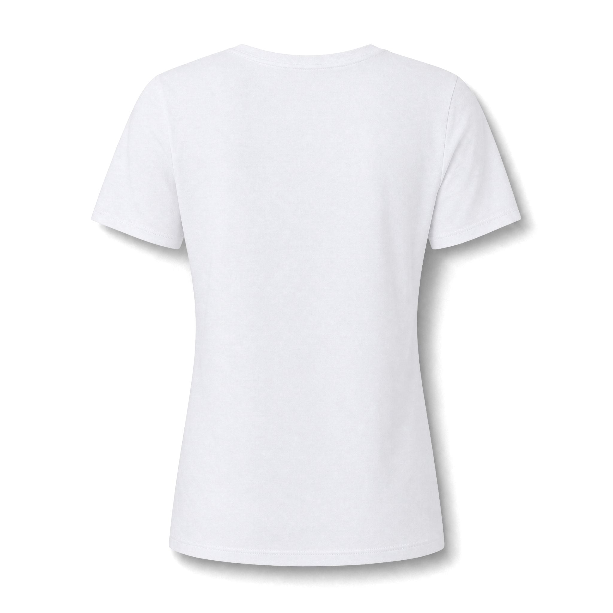 Alpine Sunset Women's V-Neck T-Shirt